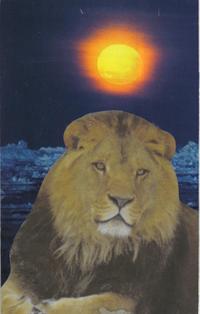 KaleidoSoul companion animal cards 