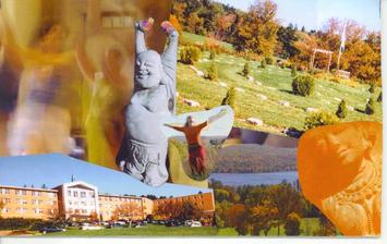 Sckripalu KaleidoSoul community cards