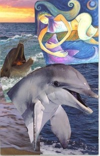KaleidoSoul companion animal cards 