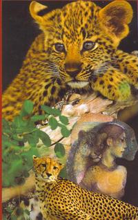 KaleidoSoul companion animal cards 