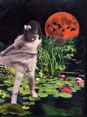 I am the who took the time to find and learn the path hidden amongst lily leaves, who created stepping stones to fill in the path where there were none, and who navigated the dangerous waters to safety..... Artist: Doree, California