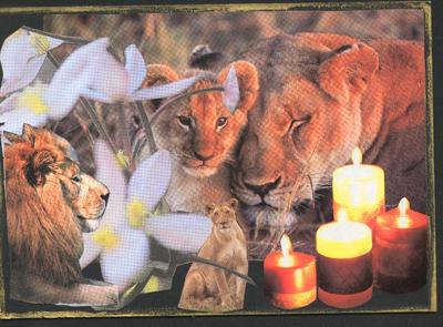 Fourth/Heart Chakra Lions. Artist: Imelda, Ireland.  I am one who is loyal and loving, strong and proud, lion-hearted. There is warmth and softness in my heart.