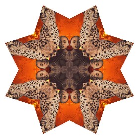 A kaleidoscopic view of Anne Marie's Survivor/Courageous One SoulCollage card.