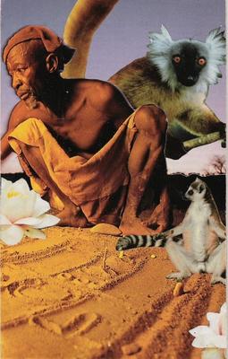 Second Chakra Lemur.  Artist: Karen M, Australia.  I am the one who is centered & grounded. I take time to sit & study my options. My ancient wisdom can be tapped into at any time.