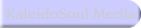KaleidoSoul Media