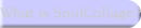 What is SoulCollage?