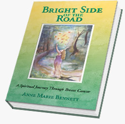 Anne Marie's New Book