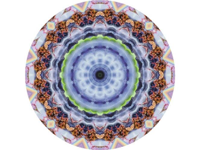 Kindred Spirits Member News